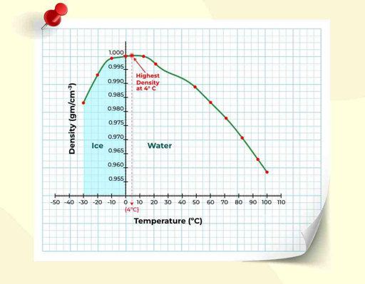 Graph showing density of water in g per cm3 versus temperature in degree Celsius with peak at 4C labeled as highest density and regions marked for ice and water