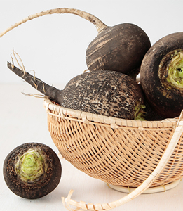 Black Radish : benefits, origin, sources, properties ...