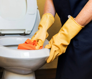 Trik Membersihkan Toilet Duduk untuk Bersih yang Maksimal ...