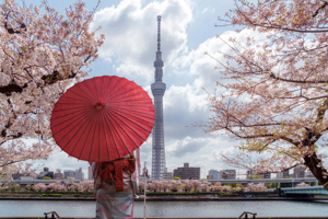 Best Time to Visit Tokyo