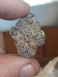 GovernMint Oasis cannabis