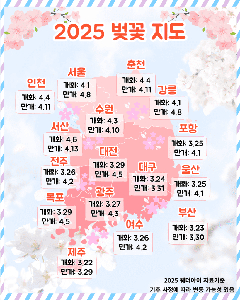 2025년 전국 벚꽃 개화시기 & 만개시기 총정리( 지역별 벚꽃명소 ...