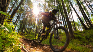 Mountainbiken in de Ardennen: 5 avontuurlijke MTB-routes