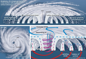 Tropical cyclone anatomy