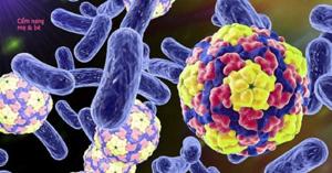 Vai trò của các loại vi khuẩn trong sữa chua có lợi cho sức khỏe