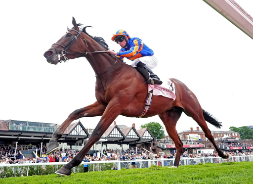 thoroughbreddailynews.com