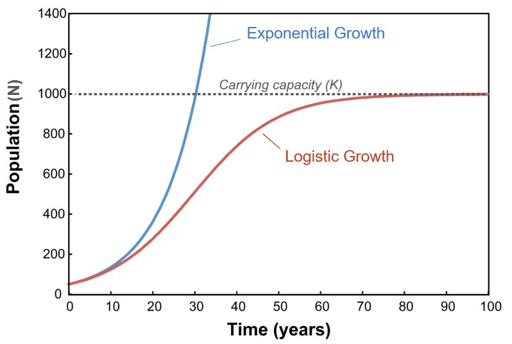Population growth models showing carrying capacity Graph comparing exponential growth blue curve and logistic growth red curve of population over time with carrying capacity K marked at 1000 showing population dynamics and regulation