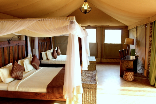 Serengeti lodge tented camp