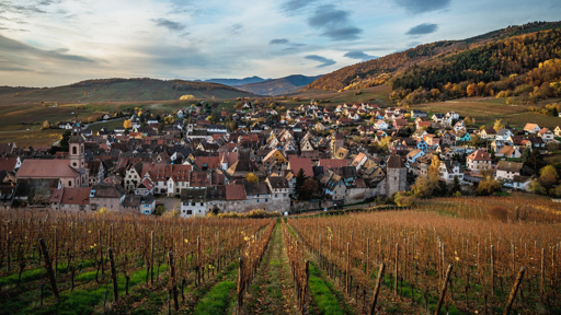 Alsace Wine Route