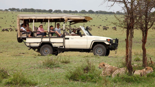 Serengeti safari vehicle game drive