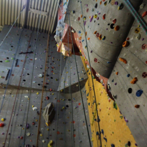 BEST of Kalmthout, Antwerpen, Belgium Klimmen - Yelp