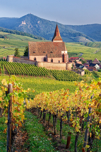 Alsace Wine Route