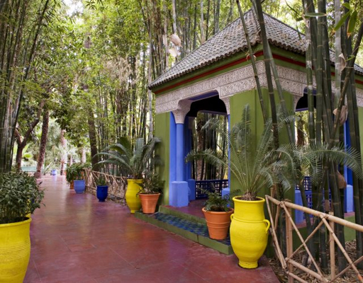 Blue walls and tropical plants in Jardin Majorelle Marrakech