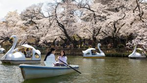 Best time to visit Tokyo - Lonely Planet