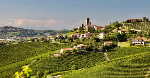 Vigneti di Barbaresco