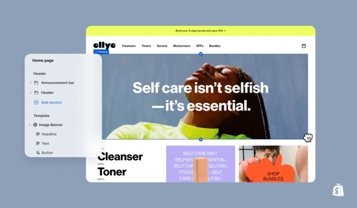 Shopify ecommerce platform interface