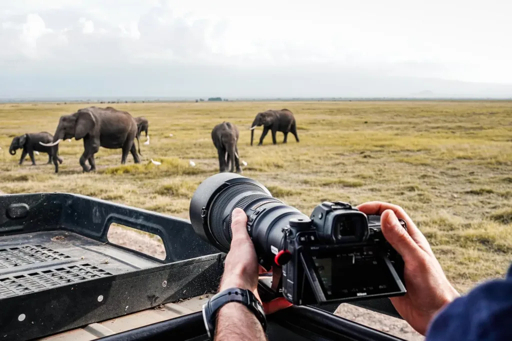 Ngorongoro camera and elephants