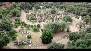 Riduzione 20% per Giardino Sonoro "Pinuccio Sciola"