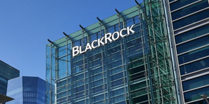 BlackRock reacts to the conspiracy theorists | Capital Group