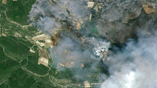 Forêt française exposée au risque d'incendie