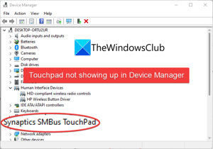 Device Manager showing touchpad driver