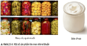 Nêu vai trò của vi khuẩn trong quá trình chế biến các sản ...