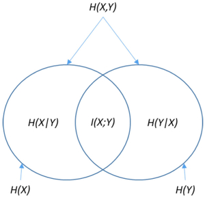 A review of entropy measures for uncertainty quantification ...