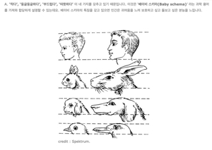 고양이가 귀엽게 보이는 과학적 이유 - 막이슈 - 쭉빵카페