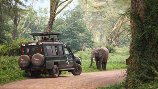 Ngorongoro elephant and vehicle
