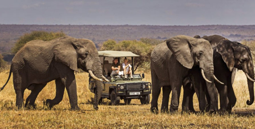 Tarangire safari itinerary game drive