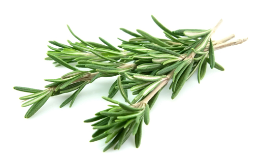 Receta Aceite Esencial de Romero