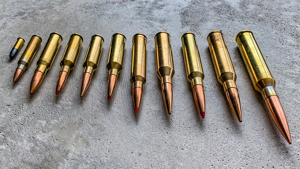Ballistic's Guide to Bullet Designs