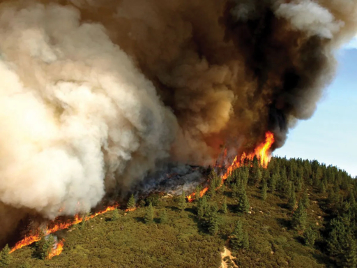 Aerial view of large wildfire burning along forested hillside with intense orange flames and massive plume of white and black smoke rising into sky