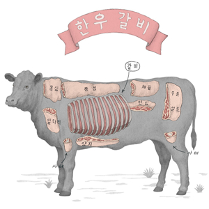 Beef cuts diagram