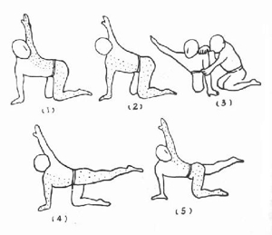 各种运动疗法的原理、方法和应用- 《康复医学》 - 中医世家
