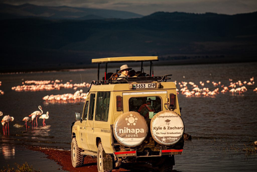 Safari vehicle among flamingos at Lake Magadi, Ngorongoro Crater