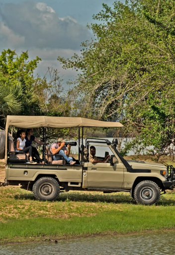 Group of travellers on a budget safari game drive in Tanzania