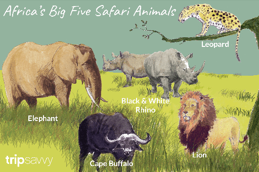 Ngorongoro Big Five poster