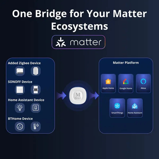 Schema del Matter Bridge del SONOFF Bridge Max