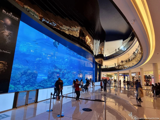 Dubai Mall Aquarium